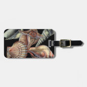 Étiquette À Bagage Les trésors de la mer (Devant horizontal)