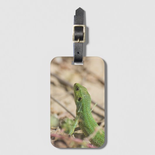 Étiquette À Bagage Lézard vert (Devant Vertical)