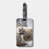 Étiquette À Bagage Lhassa Apso Laisse Neige Noël (Dos Vertical)