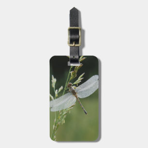 Étiquette À Bagage Libellule Darner couverte de rosée