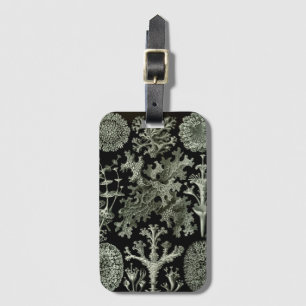 Étiquette À Bagage Lichen par Ernst Haeckel, Plantes Vintages de la n