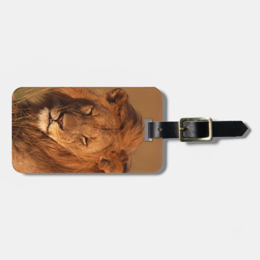 Étiquette À Bagage Lion (Devant horizontal)
