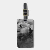 Étiquette À Bagage Lion noir et blanc (Devant Vertical)