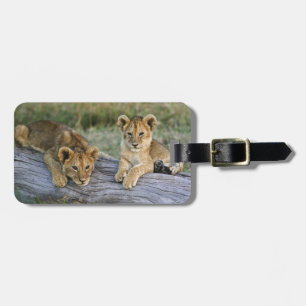 Étiquette À Bagage Lionceaux sur rondin
