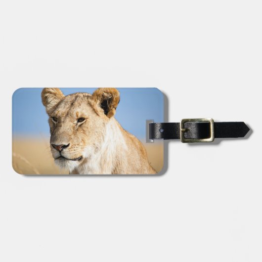Étiquette À Bagage Lioness against blue sky (Devant horizontal)