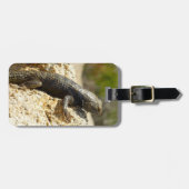 Étiquette À Bagage Lizard d'épinette à dos jaune à Joshua Tree (Devant horizontal)