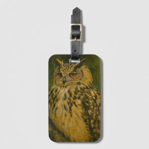 Étiquette À Bagage L'observateur - Aigle eurasien à la lumière du boi