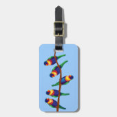 Étiquette À Bagage Lorikee australien (Devant Vertical)