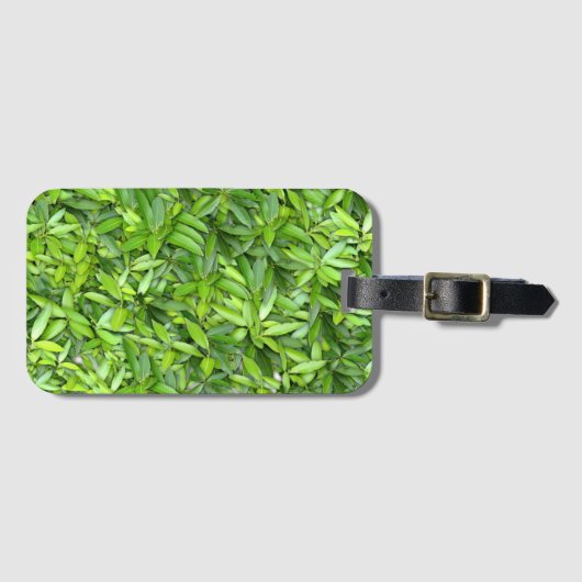 Étiquette À Bagage Lots de beautiful (Devant Horizontal)