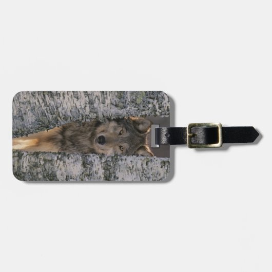 Étiquette À Bagage Loup (Devant horizontal)