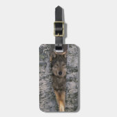 Étiquette À Bagage Loup (Devant Vertical)