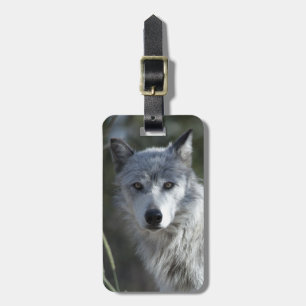 Étiquette À Bagage Loup dans Yellowstone