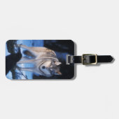 Étiquette À Bagage loup gris, Canis lupus, dans les contreforts (Devant horizontal)