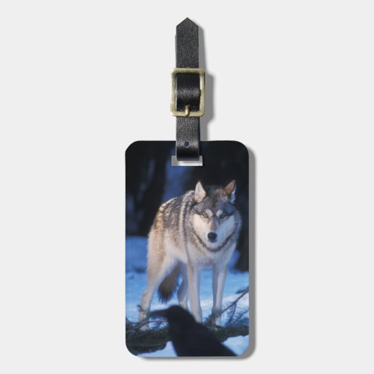 Étiquette À Bagage loup gris, Canis lupus, dans les contreforts (Devant Vertical)