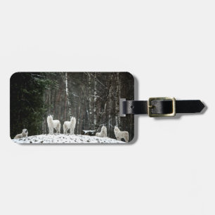 Étiquette À Bagage Loup polaire sauvage