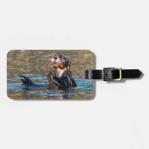 Étiquette À Bagage Loupe de mer ensoleillée