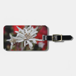 Étiquette À Bagage Lovely Edelweiss Leontopodium nivale