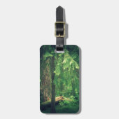 Étiquette À Bagage Lumière forestière (Devant Vertical)