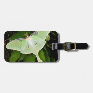 Étiquette À Bagage Luna Moth on Carnaby Clematis