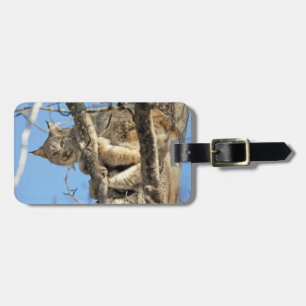 Étiquette À Bagage Lynx espiègle