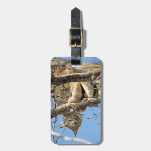 Étiquette À Bagage Lynx espiègle (Devant Vertical)