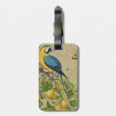 Étiquette À Bagage Macaw Blue Jaune Tropical Jungle Antique (Dos Vertical)