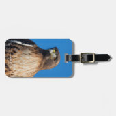 Étiquette À Bagage Magnifique Buse à queue rouge au soleil (Devant horizontal)