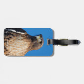 Étiquette À Bagage Magnifique Buse à queue rouge au soleil (Dos horizontal)