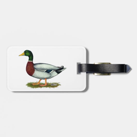 Étiquette À Bagage Mallard Duck Drake (Dos horizontal)
