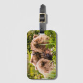 Étiquette À Bagage Mama bear nourrit ses deux petits, Lake Clark Nati (Devant Vertical)