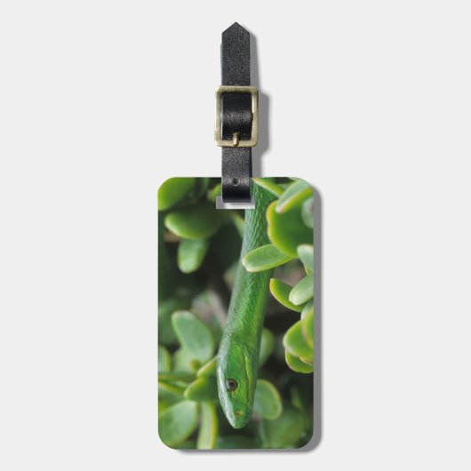 Étiquette À Bagage Mamba verte orientale (Dendroaspis Angusticeps) (Devant Vertical)