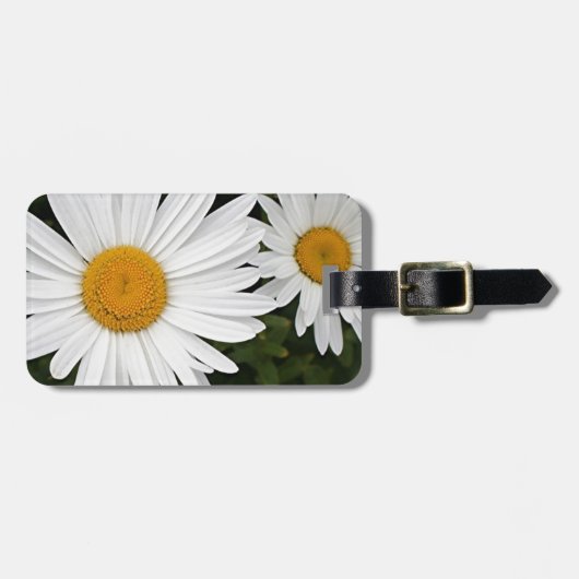 Étiquette À Bagage Marguerites jaunes et blanches : fleurs en fleur (Devant horizontal)