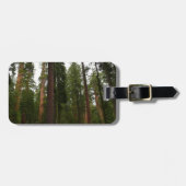 Étiquette À Bagage Mariposa Grove dans le parc national de Yosemite (Devant horizontal)