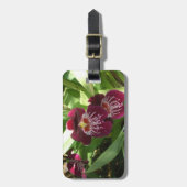 Étiquette À Bagage Maroon Orchids II (Devant Vertical)