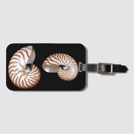 Étiquette À Bagage Marque à bagages Nautilus seashells (Devant Horizontal)