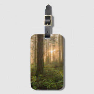 Étiquette À Bagage Matin brumeux du nord-ouest Pacifique de la forêt