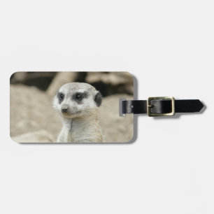 Étiquette À Bagage Meerkat