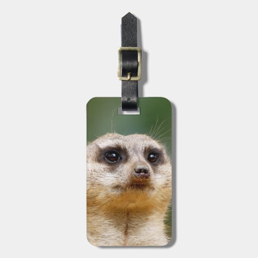 Étiquette À Bagage Meerkat20151001 (Devant Vertical)