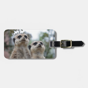 Étiquette À Bagage Meerkat - rêve