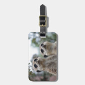Étiquette À Bagage Meerkat - rêve (Devant Vertical)