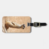 Étiquette À Bagage Meerkats sont frais (Devant horizontal)