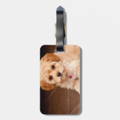 Étiquette À Bagage Mélange de caniche de bébé ou chiot maltais de (Dos Vertical)