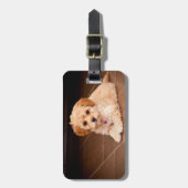 Étiquette À Bagage Mélange de caniche de bébé ou chiot maltais de (Devant Vertical)