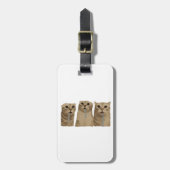 Étiquette À Bagage Mème des triples chats idiots qui bavent (Devant Vertical)