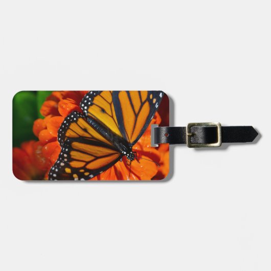 Étiquette À Bagage Monarque (Devant horizontal)