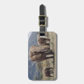 Étiquette À Bagage Mother éléphant walking with elephant calf (Devant Vertical)