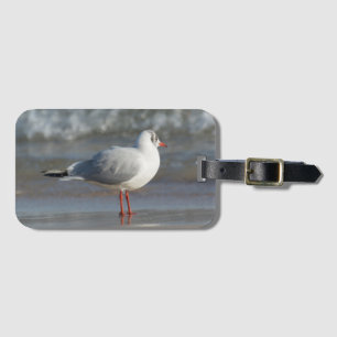 Étiquette À Bagage Mouette