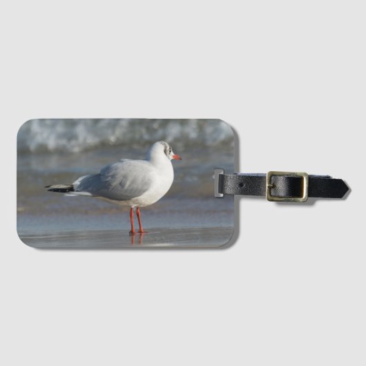 Étiquette À Bagage Mouette (Devant Horizontal)