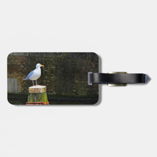 Étiquette À Bagage Mouette