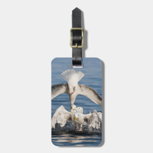 Étiquette À Bagage Mouettes de plongée